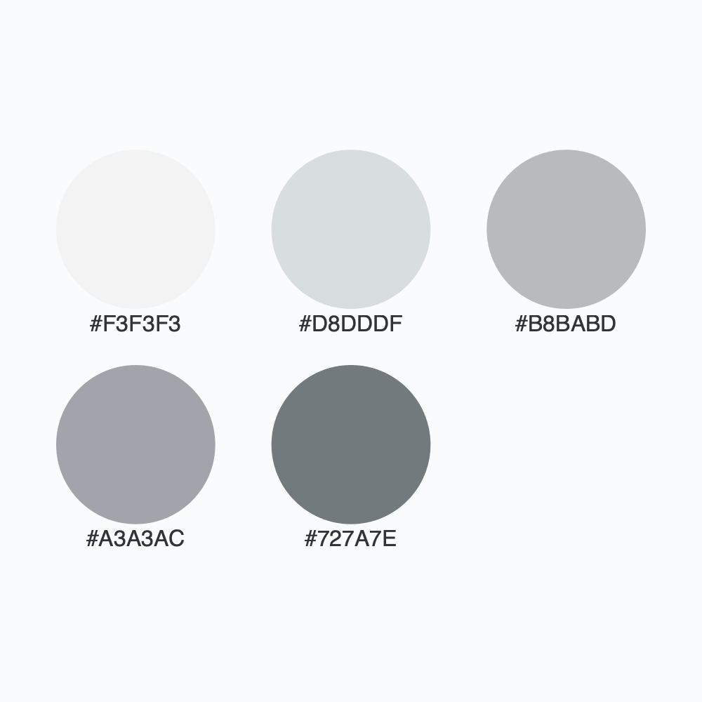 Snapshot for palette Silver