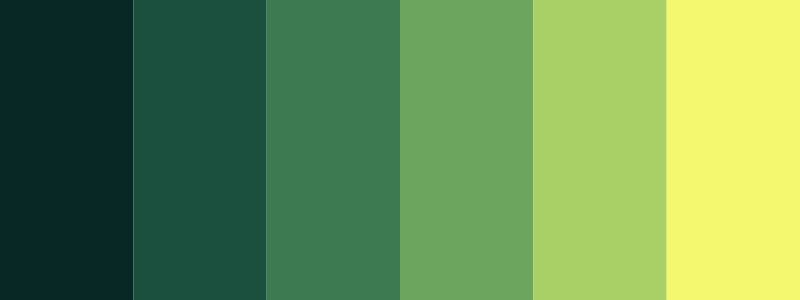 lime color palette