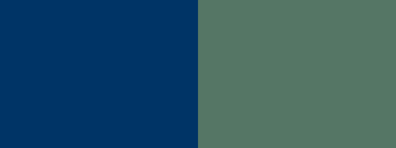 northern arizona university color palette