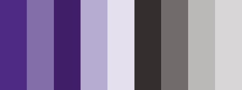 northwestern university color palette