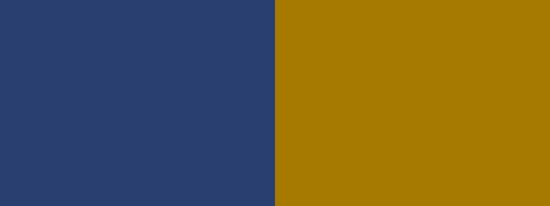 the college of new jersey color palette