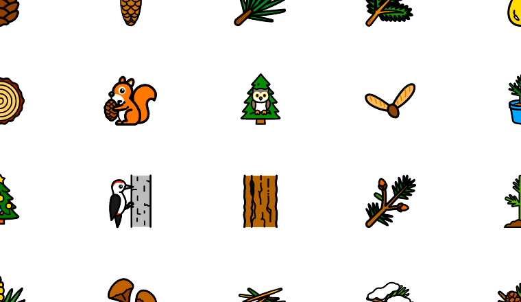 outlined conifer nature icons, including conifer, pine cone, pine tree, evergreen / loading.io animated icon set
