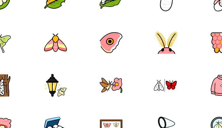 moth life cycle doodles icons, including moth, insect, caterpillar, cocoon / loading.io animated icon set